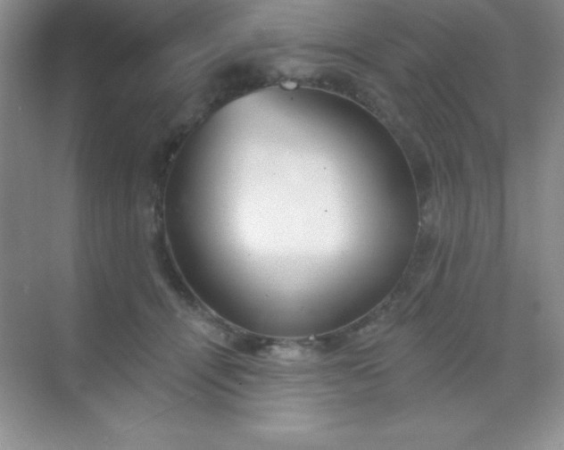 X0000068840464200605191930