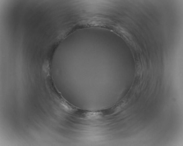 X0000068840465200605191930