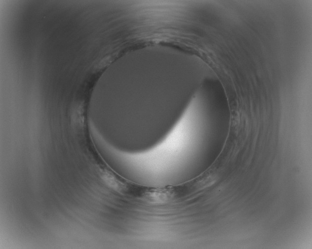 X0000068840466200605191930