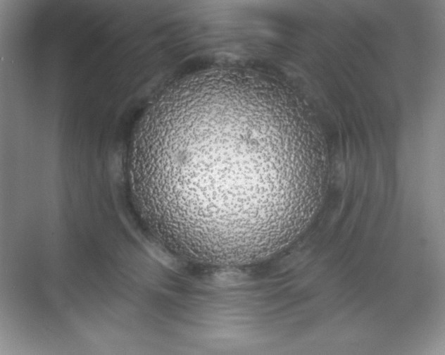 X0000068840468200605191930