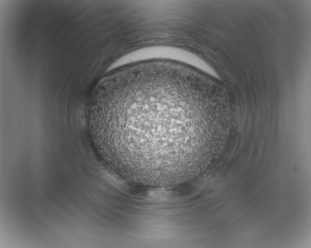 X0000068840470200605191930