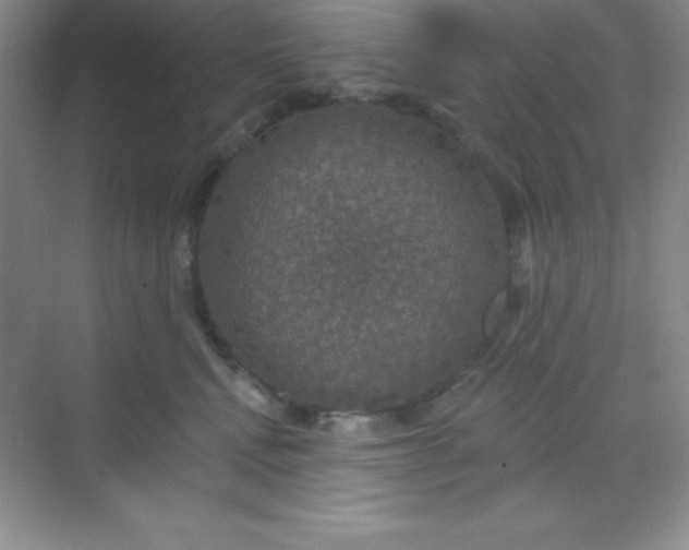 X0000068840472200605191930