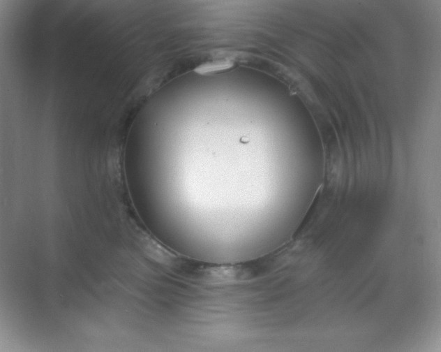 X0000068840473200605191930