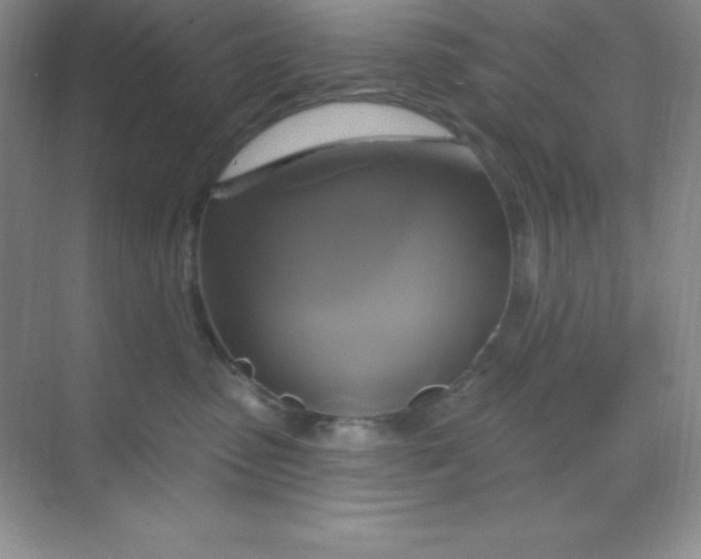 X0000068840475200605191930