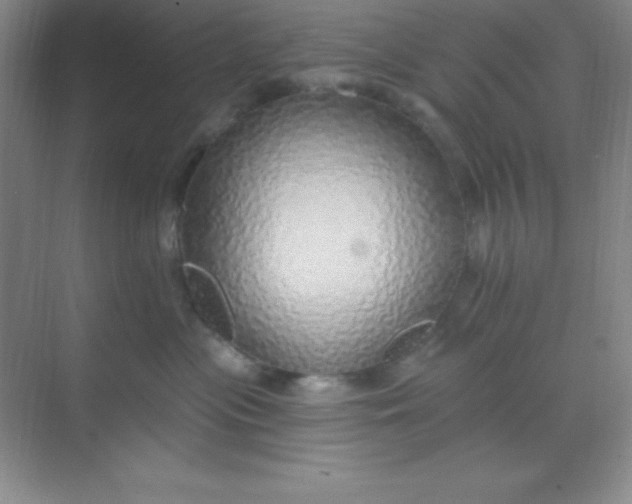 X0000068840477200605191930