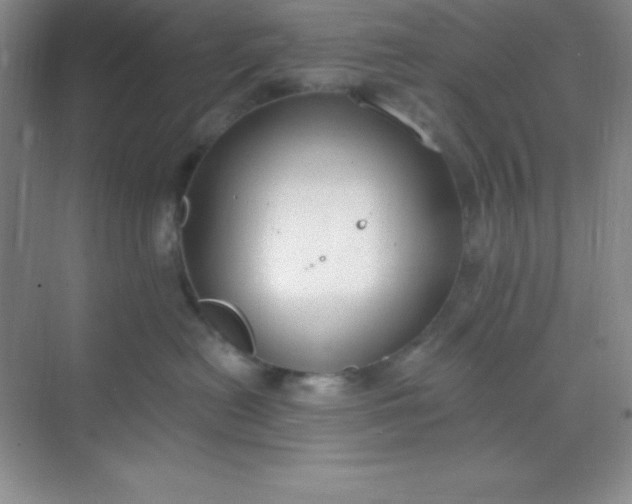 X0000068840478200605191930