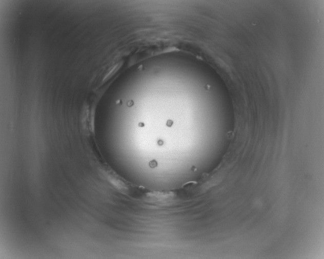 X0000068840480200605191930