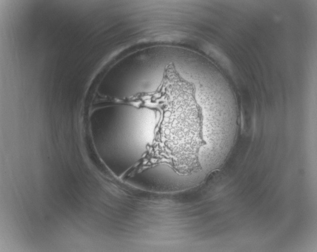 X0000068840483200605191929