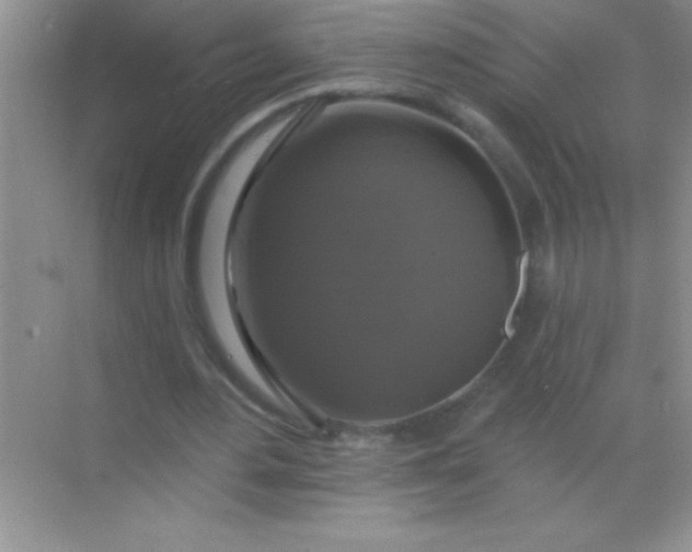 X0000068840484200605191929