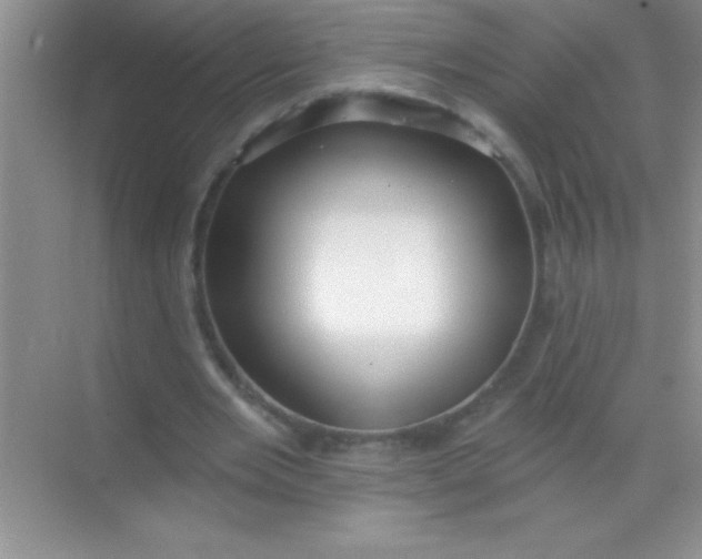 X0000068840485200605191929