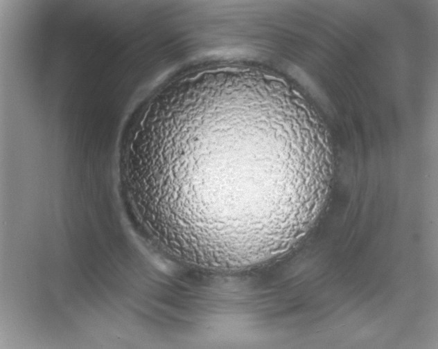 X0000068840486200605191929