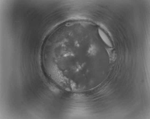 X0000068840487200605191929