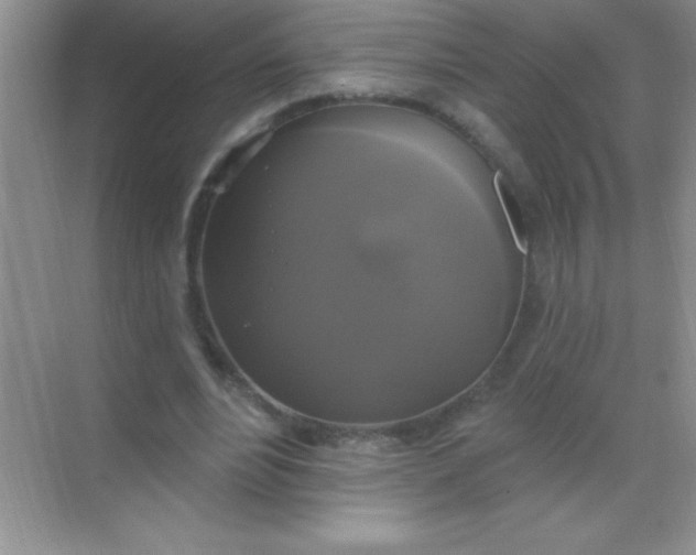 X0000068840488200605191929