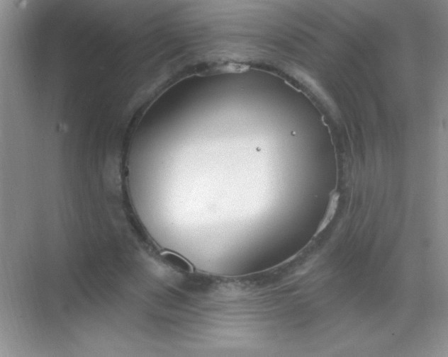 X0000068840489200605191929