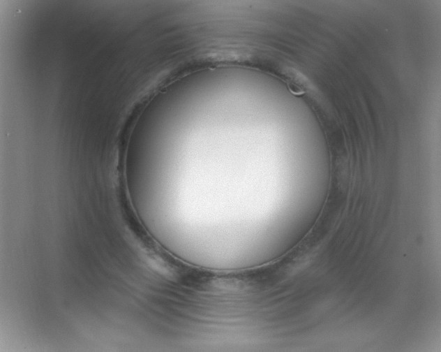 X0000068840490200605191929