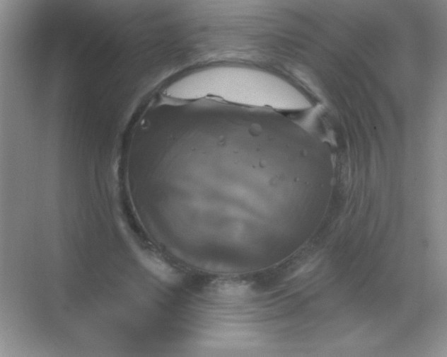 X0000068840491200605191929