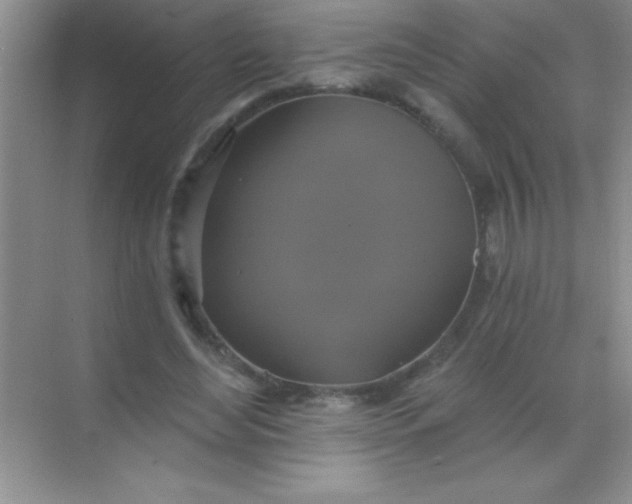 X0000068840492200605191929