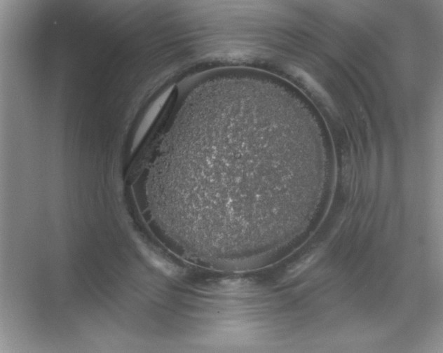 X0000068840493200605191929