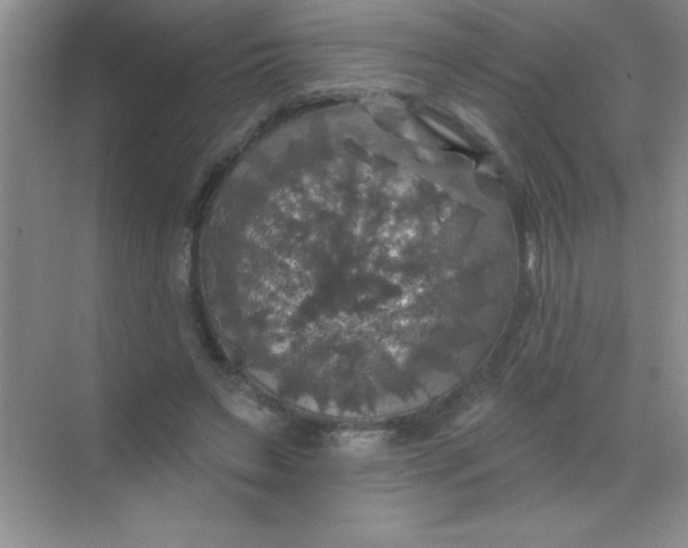 X0000068840495200605191929