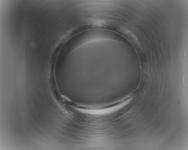 X0000068840496200605191929