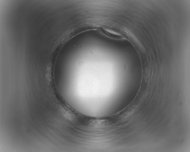 X0000068840497200605191929