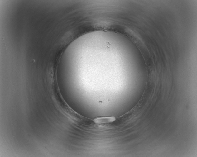 X0000068840498200605191929