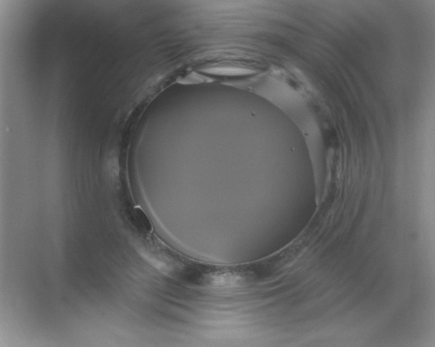 X0000068840500200605191929