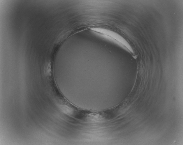 X0000068840502200605191929