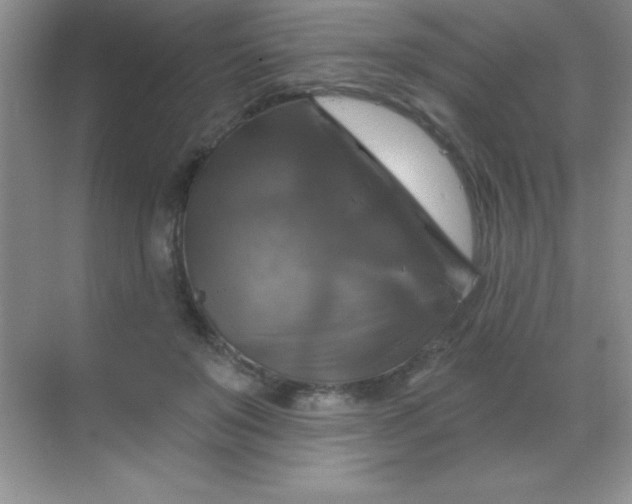 X0000068840503200605191929