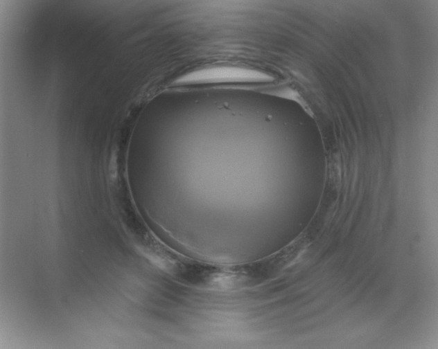 X0000068840504200605191929