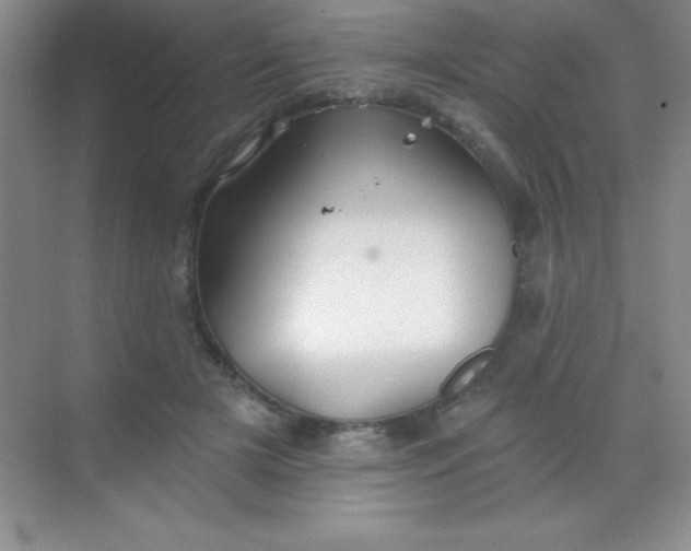 X0000068840505200605191929