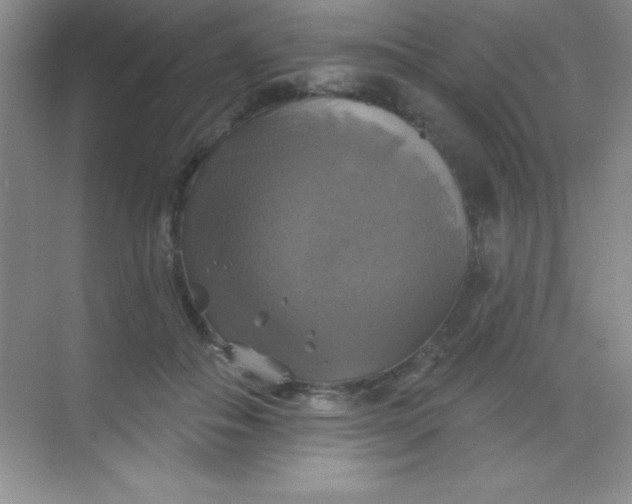 X0000068840506200605191929