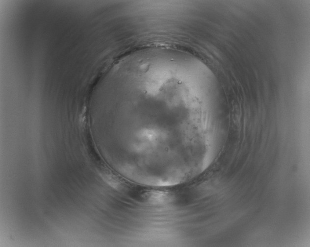 X0000068840507200605191929