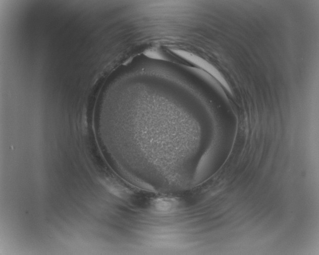 X0000068840508200605191929