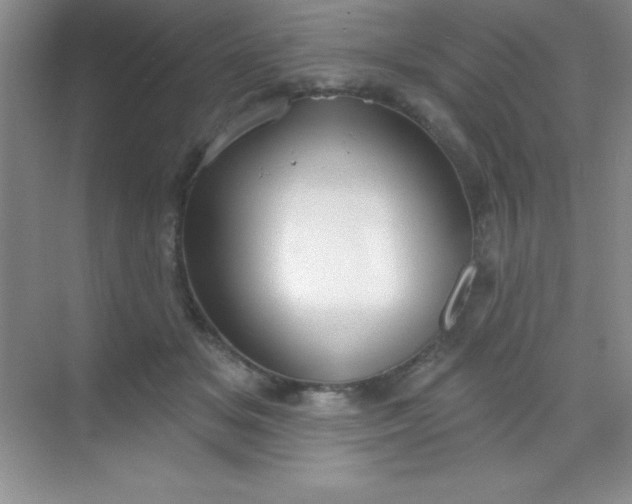 X0000068840509200605191929