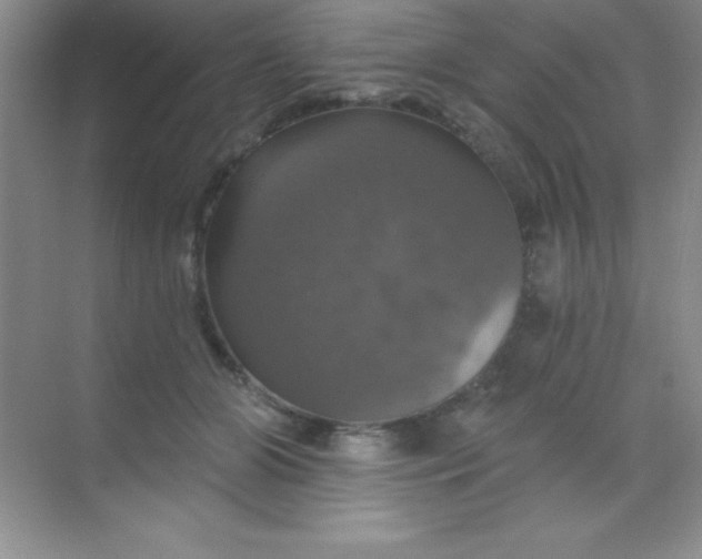 X0000068840510200605191929