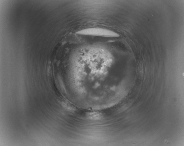 X0000068840511200605191929