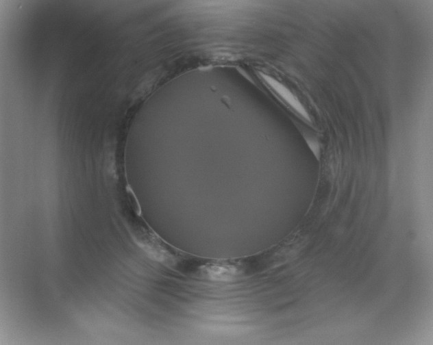 X0000068840512200605191929