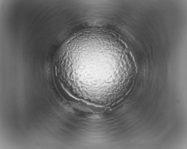 X0000068840513200605191929