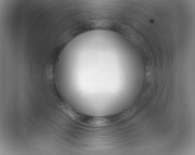 X0000068840514200605191929