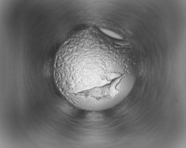 X0000068840515200605191929