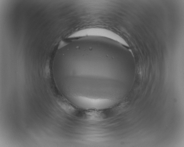 X0000068840516200605191929