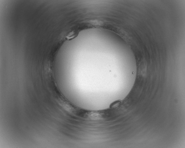 X0000068840518200605191929