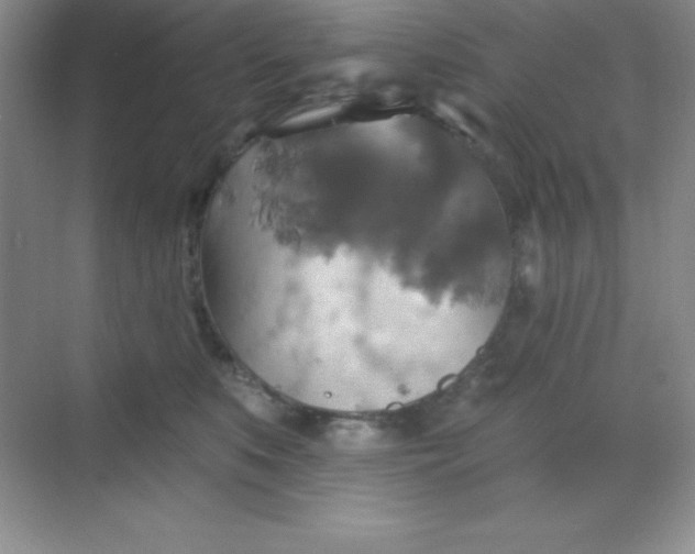 X0000068840519200605191929