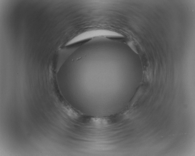 X0000068840520200605191929