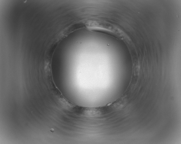 X0000068840521200605191929