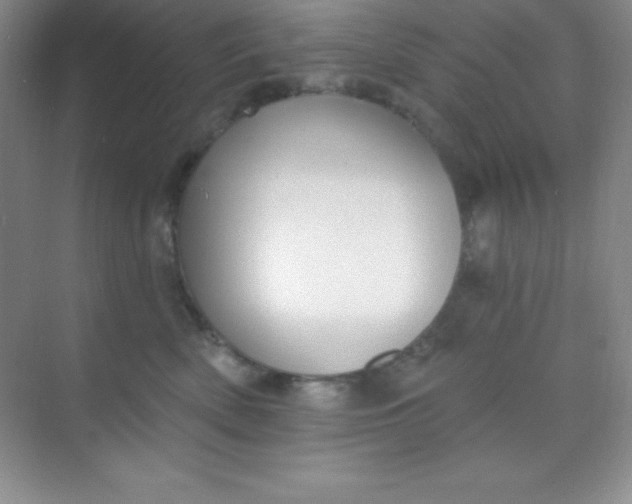 X0000068840522200605191929