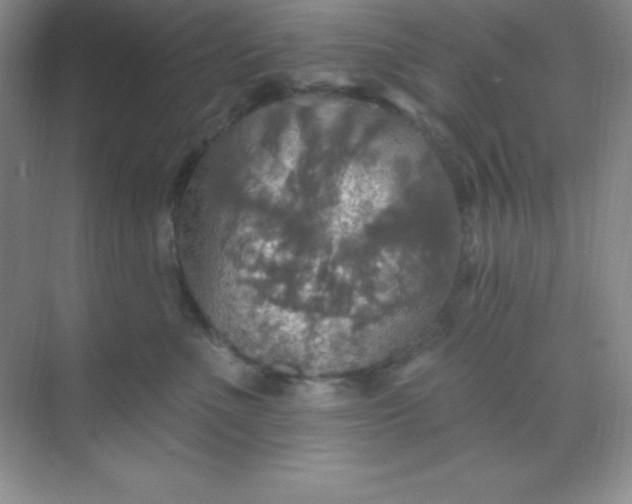 X0000068840523200605191929