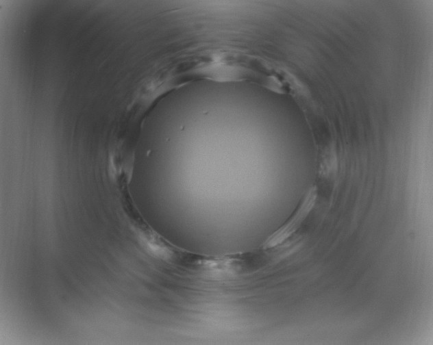 X0000068840524200605191929