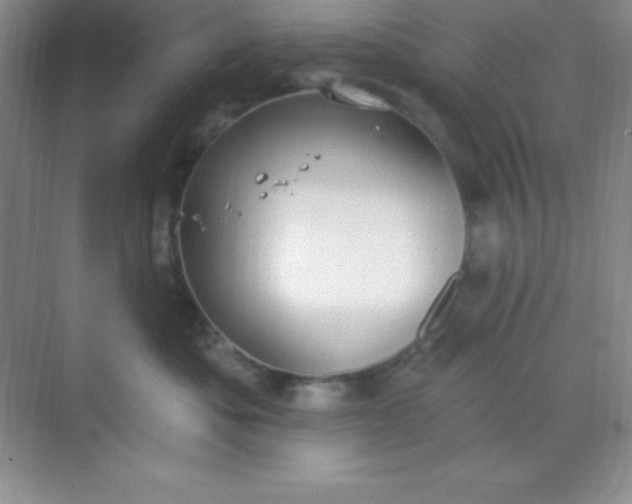 X0000068840525200605191929